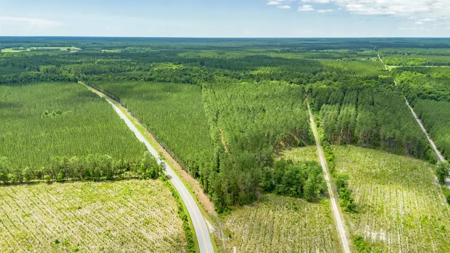 Tract E Ten Acre Rd., Andrews, SC 29510 - #3
