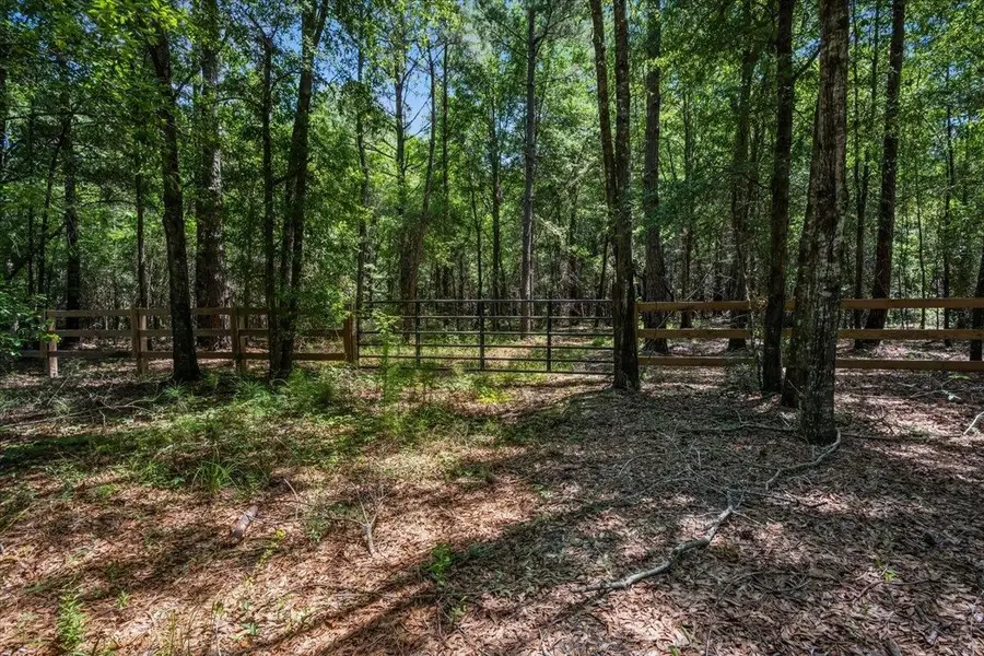 TBD 5.3 Acres Springtown Rd, Bamberg, SC 29003 - #2