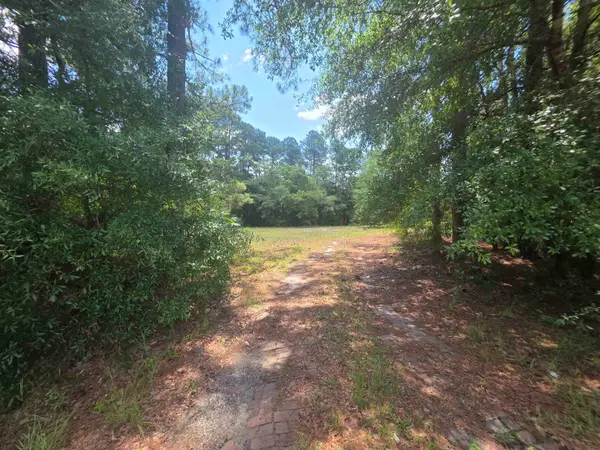 TBD Highway 701 South, Conway, SC 29527