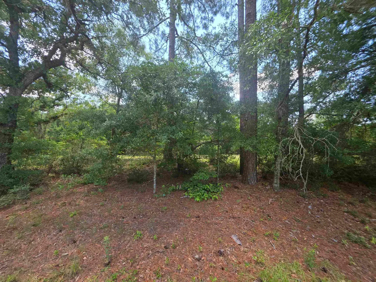 TBD Highway 701 South, Conway, SC 29527 - #1