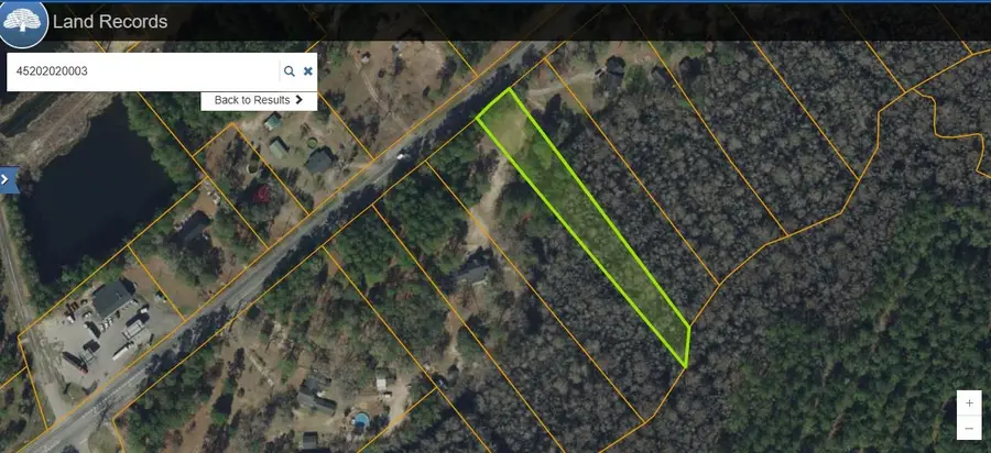 TBD Highway 701 South, Conway, SC 29527 - #2
