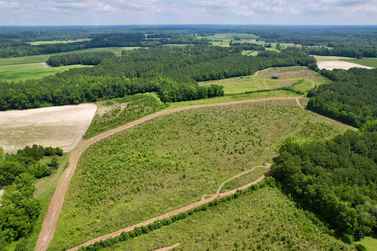 0 Powell Rd., Green Sea, SC 29545 - #1