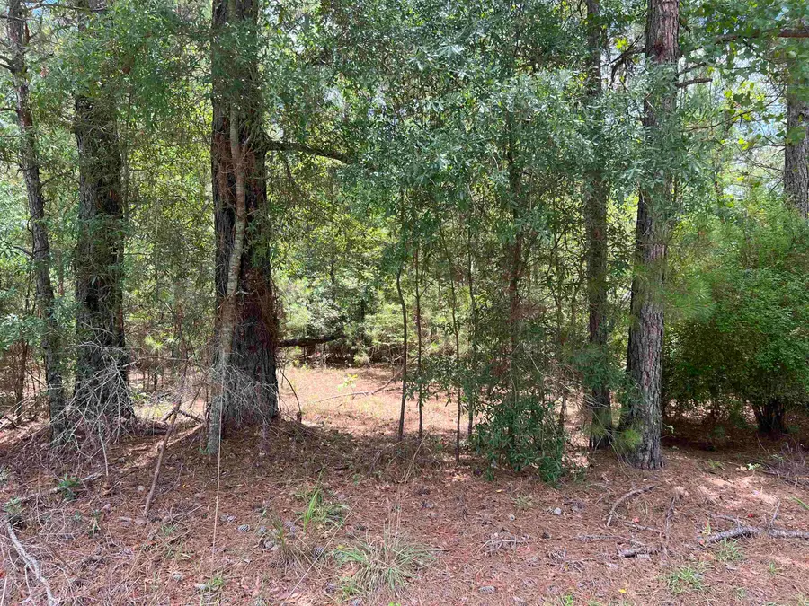 TBD Ervin Road Ervin Rd., Andrews, SC 29510 - #2