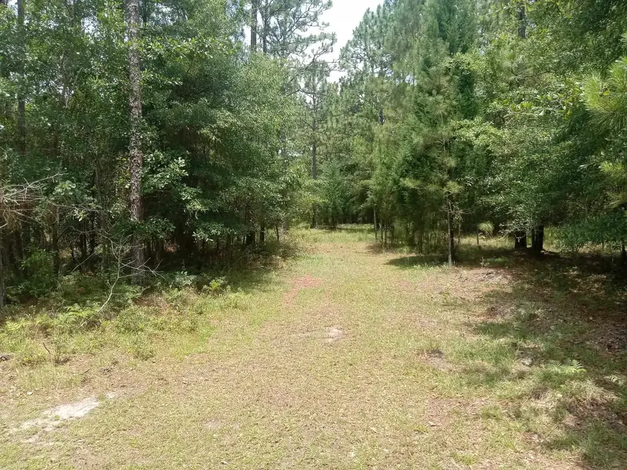 Lot 1038 Kilsock Dr., Georgetown, SC 29440 - #2