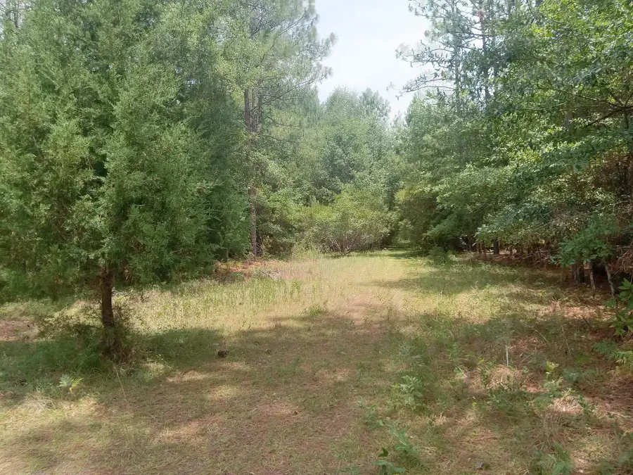 Lot 1038 Kilsock Dr., Georgetown, SC 29440 - #3