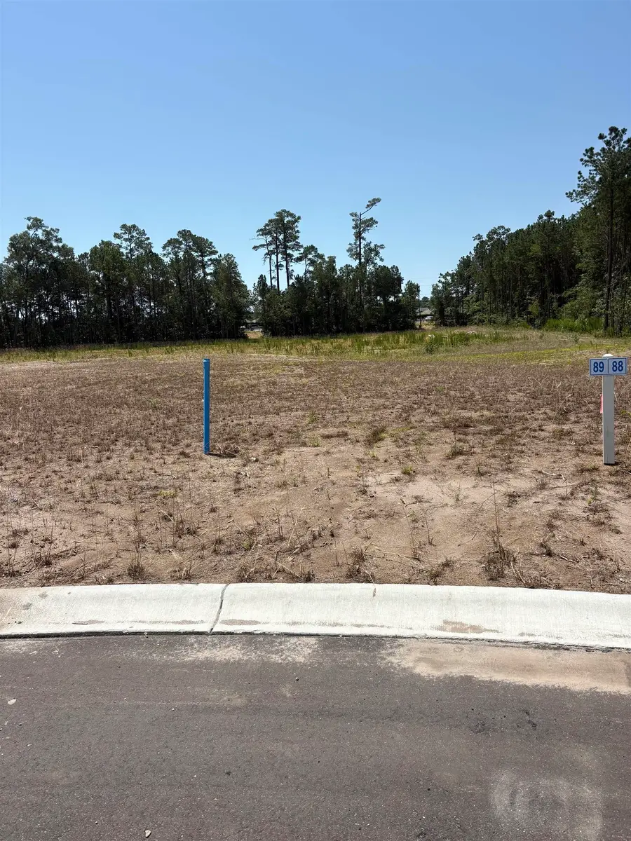 459 Pompano Court, Myrtle Beach, SC 29577 - #2