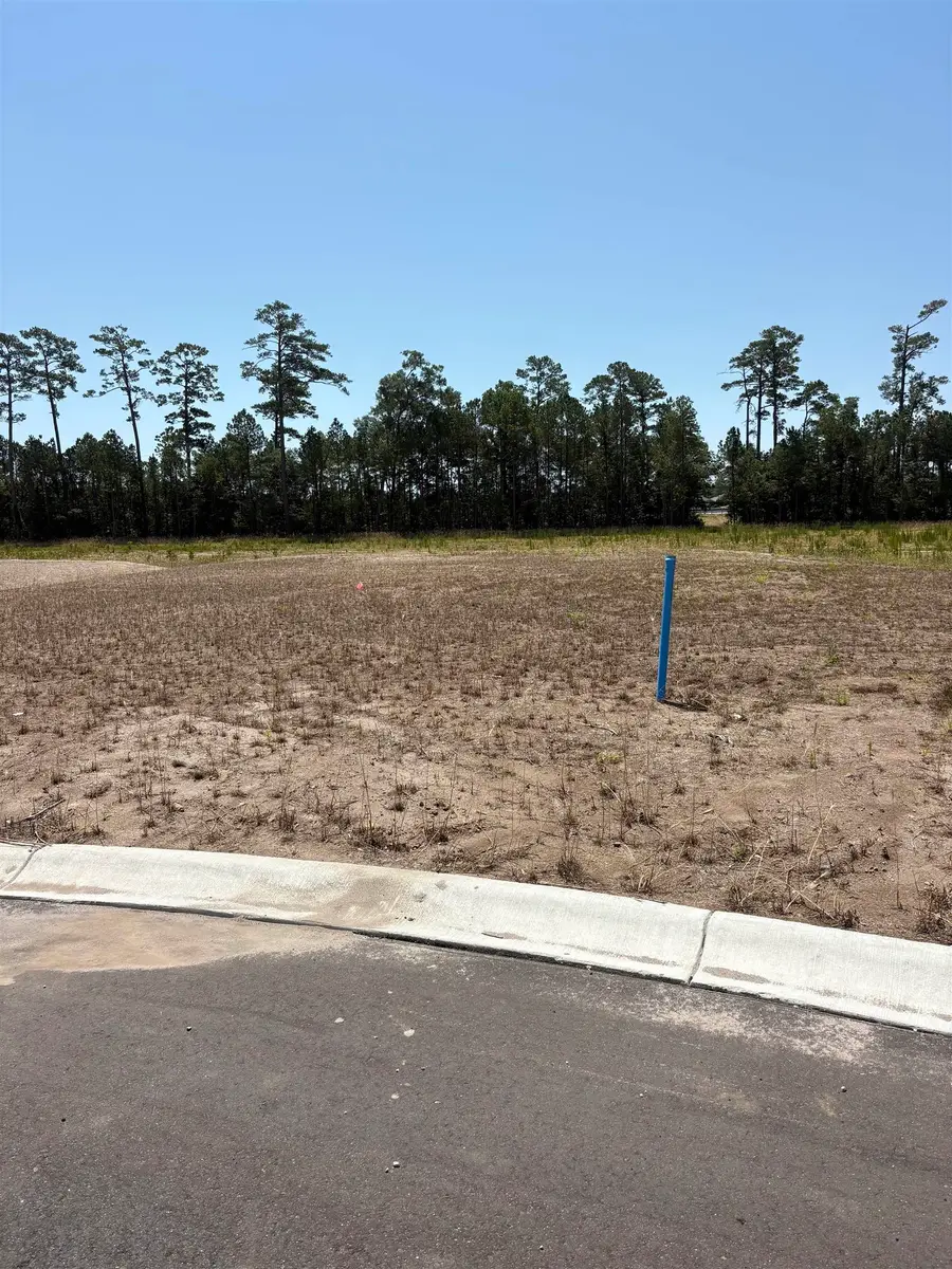 459 Pompano Court, Myrtle Beach, SC 29577 - #3