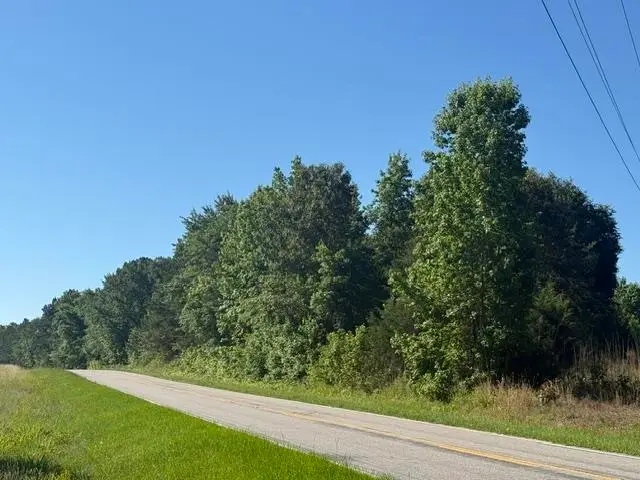 491 Crow Ln., Pageland, SC 29728 - #2