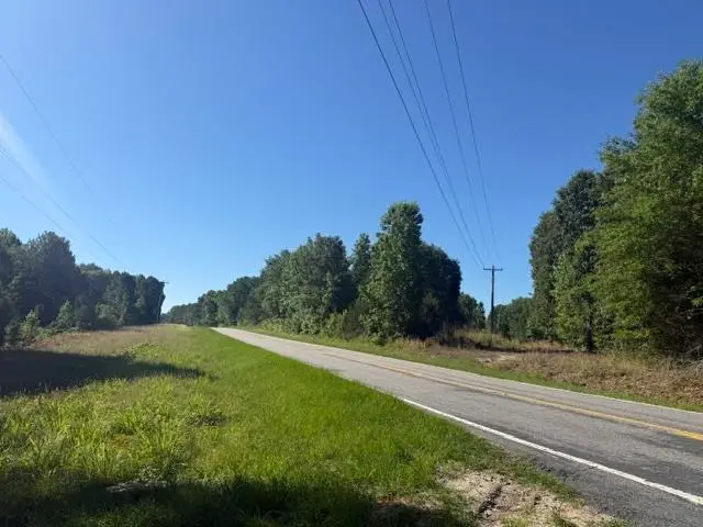 491 Crow Ln., Pageland, SC 29728 - #3