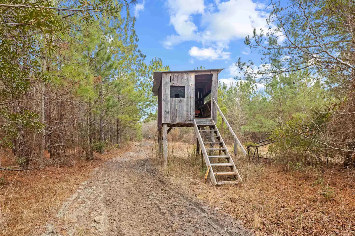 TBD 183 Acres Blakely Rd., Salters, SC 29590 - #1