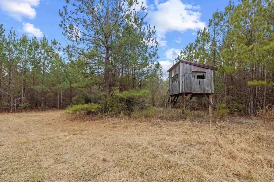 TBD 183 Acres Blakely Rd., Salters, SC 29590 - #2