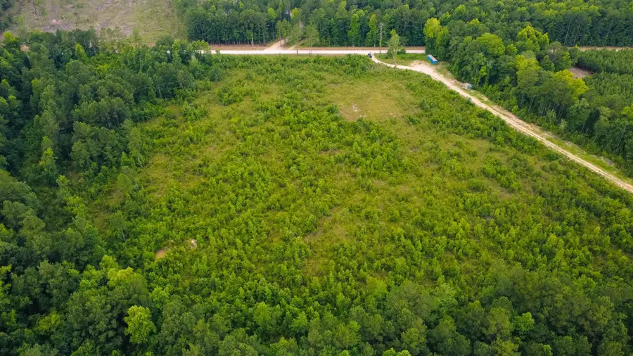 Lot C Friers Bay Rd., Loris, SC 29569 - #2