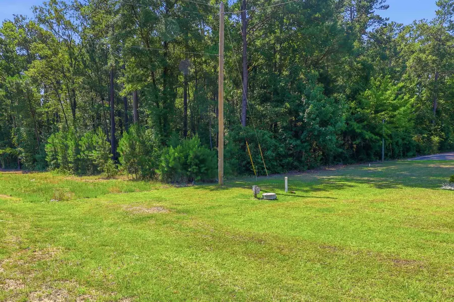 4107 Highway 378, Conway, SC 29527 - #2