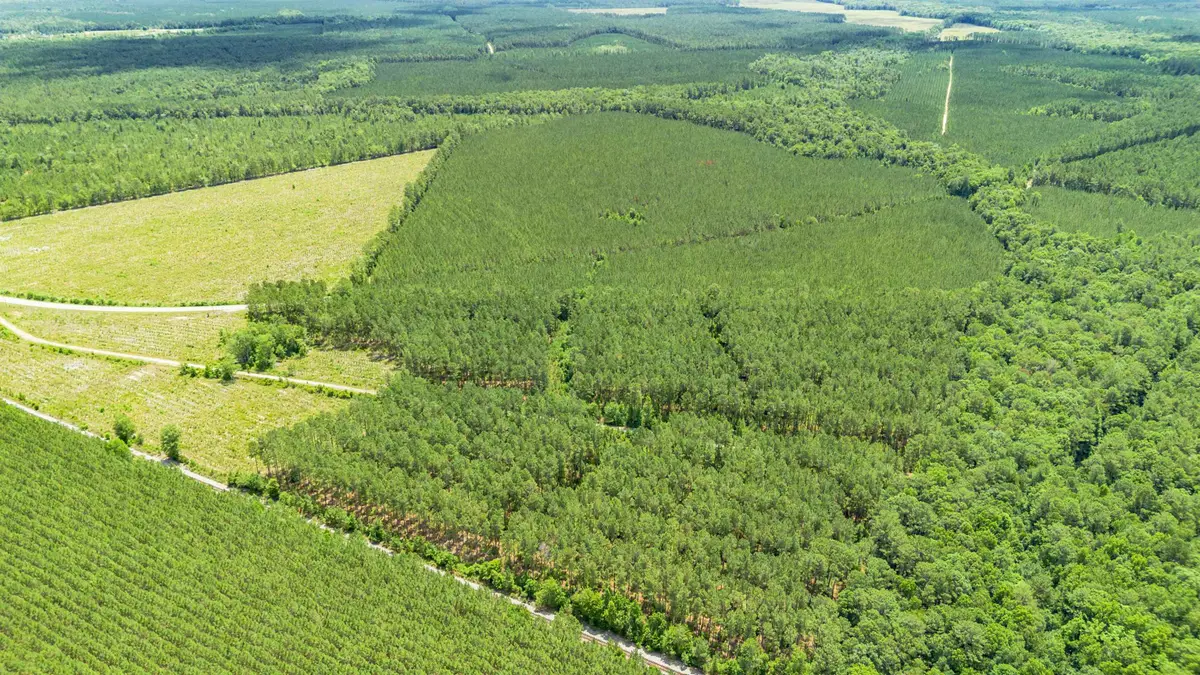 TBD Ten Acre Rd., Andrews, SC 29510 - #1