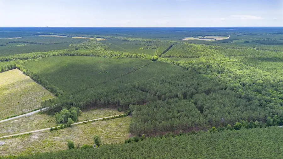 TBD Ten Acre Rd., Andrews, SC 29510 - #3