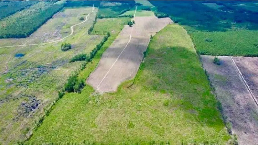 TBD Hwy 527, New Zion, SC 29111 - #1
