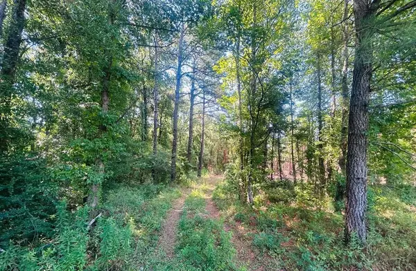 18.3 Acres - Turkey Ln, Kingstree, SC 29556