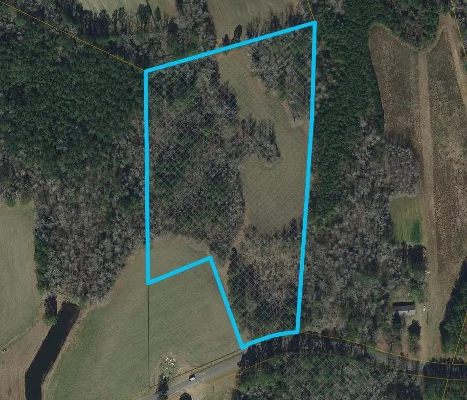 TBD Long Branch Swamp Rd., Nichols, SC 29581 - #1