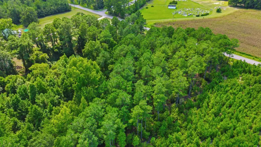 TBD Flag Patch Rd., Loris, SC 29569 - #2