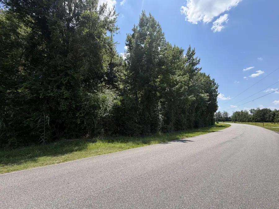 TBD Church Rd., Green Sea, SC 29545 - #2