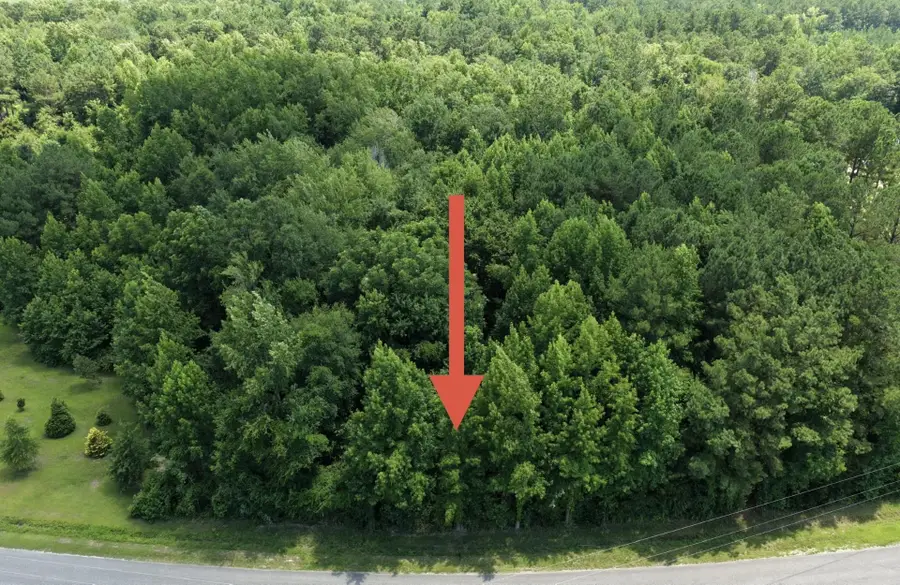 TBD Church Rd., Green Sea, SC 29545 - #3