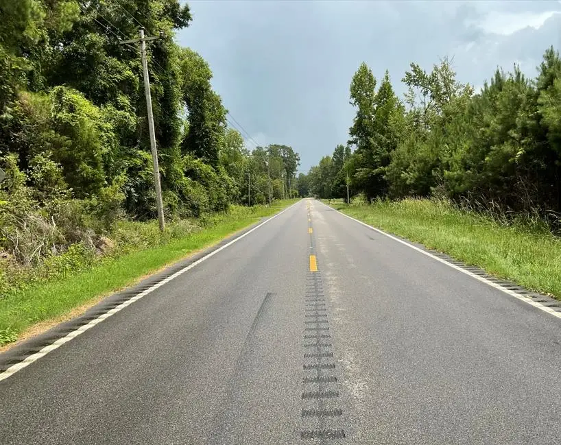 TBD Cow Head Rd., Hemingway, SC 29554 - #3