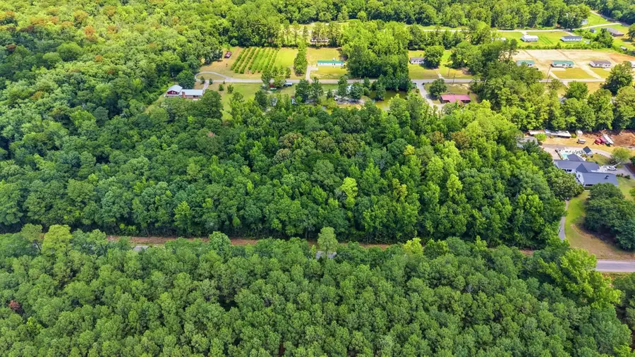 601 Huggins Landing Rd., Galivants Ferry, SC 29544 - #3