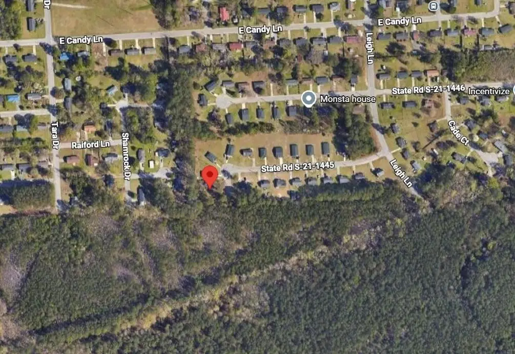 1001 Aunt Prissey Ct, Florence, SC 29505 - #1