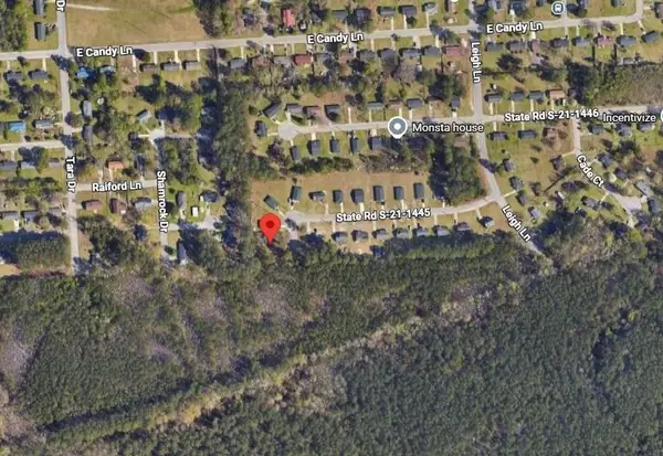 1001 Aunt Prissey Ct, Florence, SC 29505