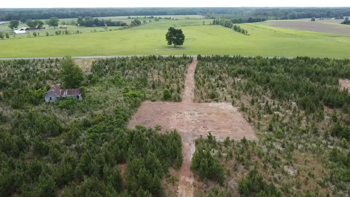 Lot 2 Attadale Rd, Blenheim, SC 29516 - #1
