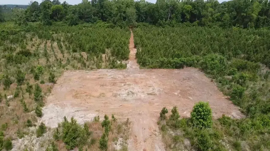 Lot 2 Attadale Rd, Blenheim, SC 29516 - #2