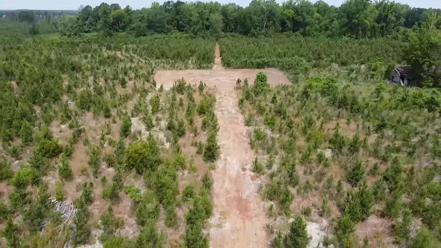 Lot 2 Attadale Rd, Blenheim, SC 29516 - #3