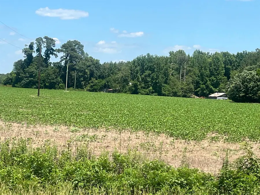 4177 Highway 38, Blenheim, SC 29516 - #2