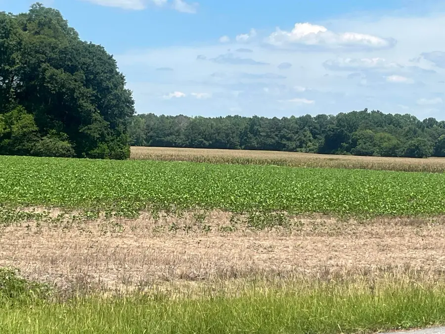 4177 Highway 38, Blenheim, SC 29516 - #3
