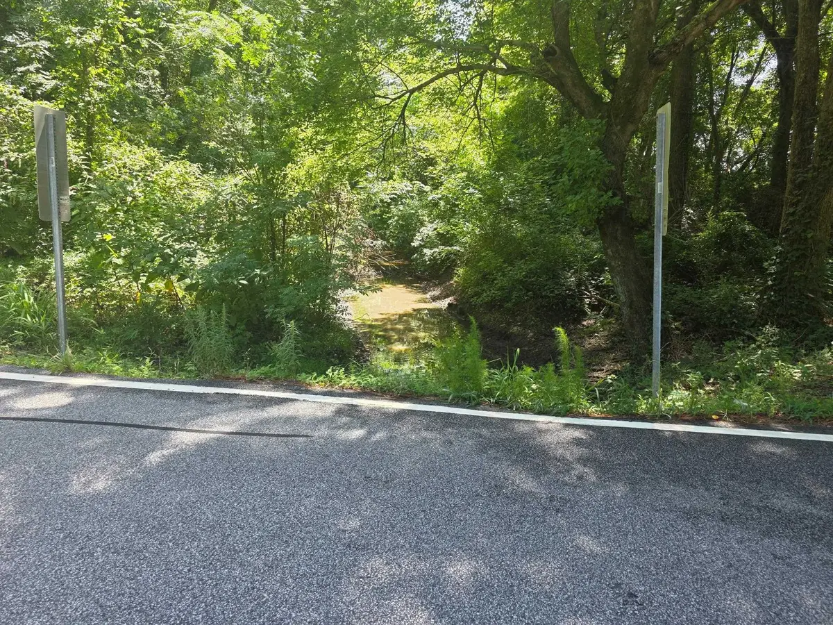 Dunbar Highway, Blenheim, SC 29516 - #1