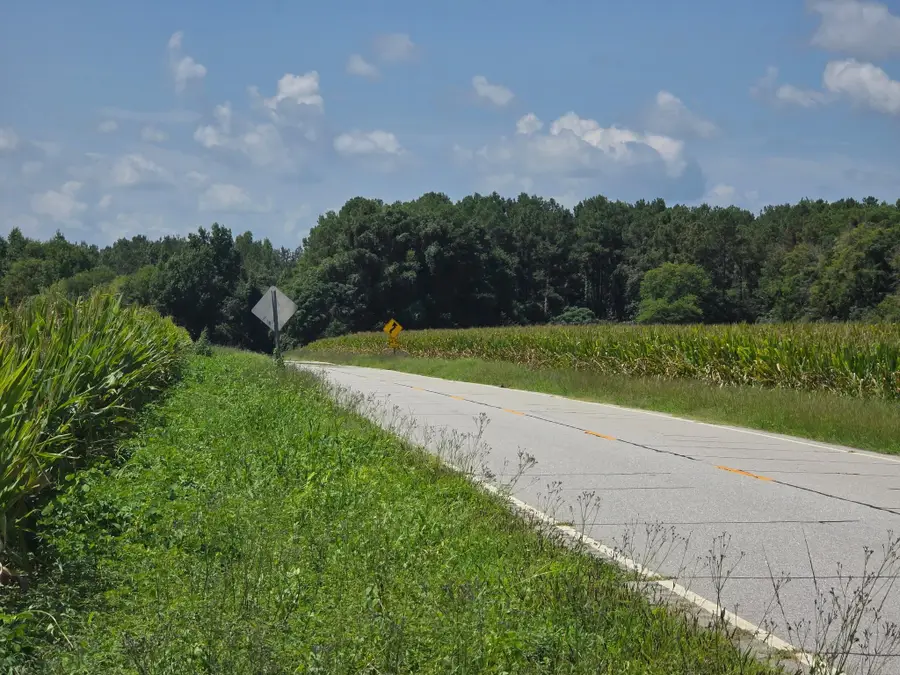 Dunbar Highway, Blenheim, SC 29516 - #3
