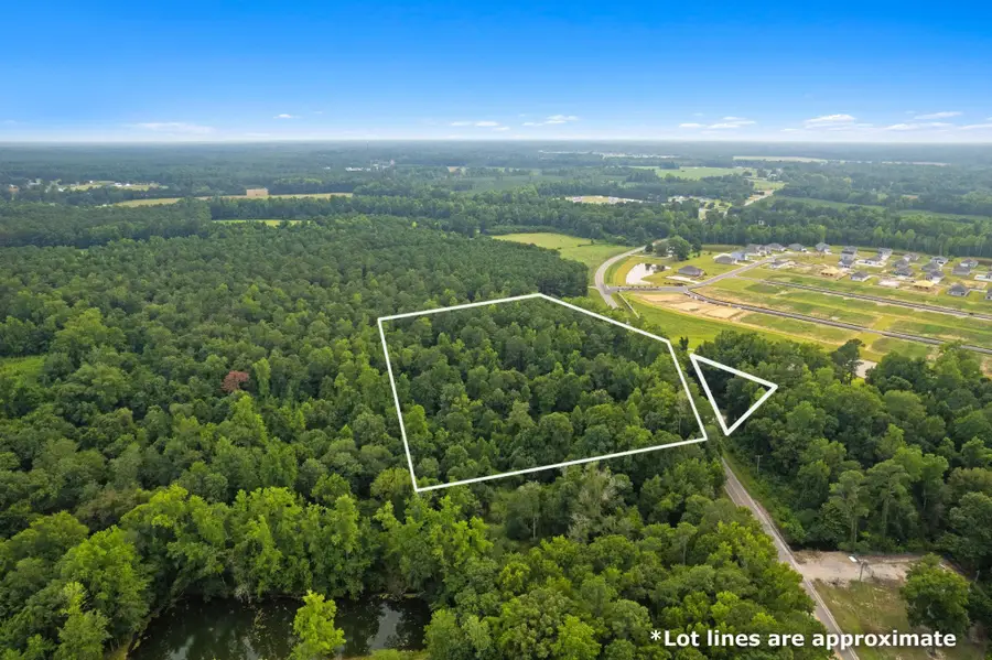 TBD Highway 45, Loris, SC 29569 - #2