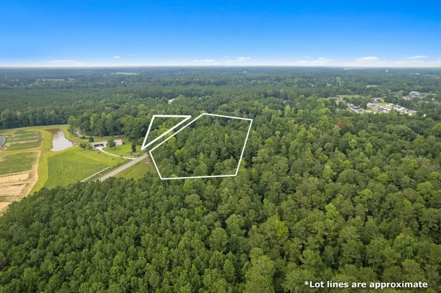 TBD Highway 45, Loris, SC 29569 - #3