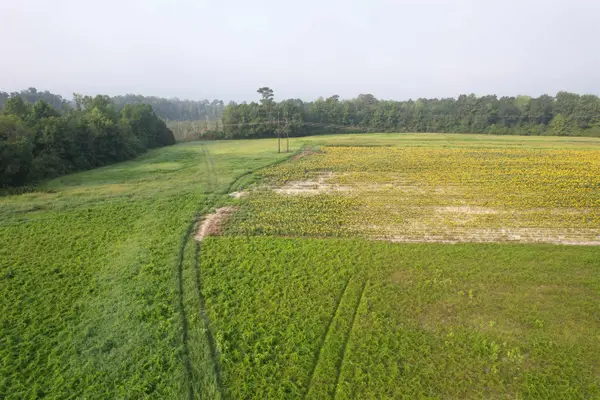 9.58 Acres - S Deerfield Rd., Johnsonville, SC 29555