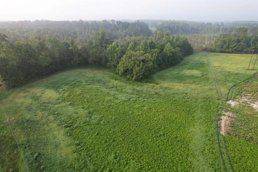 9.58 Acres - S Deerfield Rd., Johnsonville, SC 29555 - #2