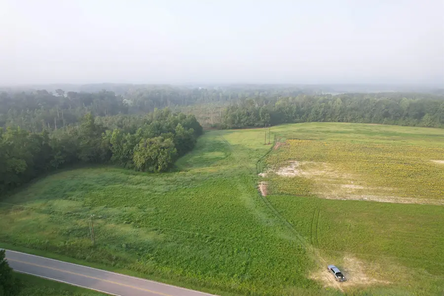 9.58 Acres - S Deerfield Rd., Johnsonville, SC 29555 - #3