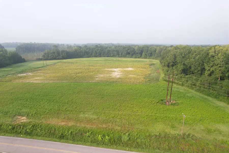 17.74 Acres - S Deerfield Rd., Johnsonville, SC 29555 - #3
