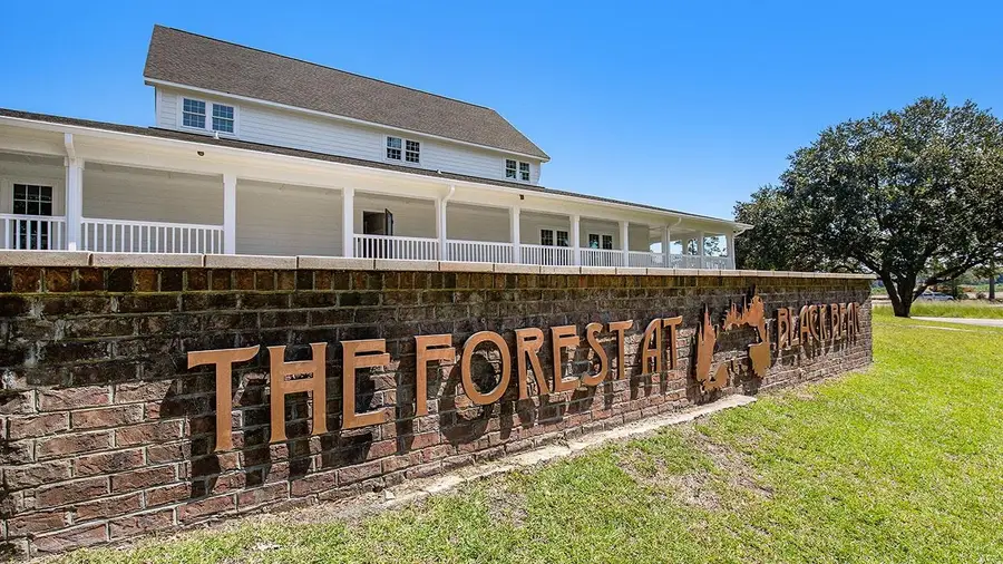 351 Black Bean Way, Longs, SC 29568 - #3