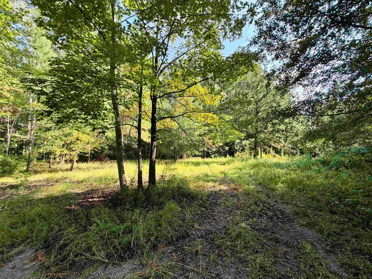 50.5 Acres Epps Rd., New Zion, SC 29111 - #1
