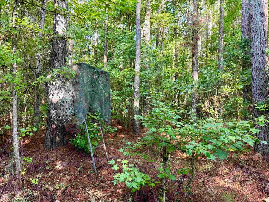 50.5 Acres Epps Rd., New Zion, SC 29111 - #2