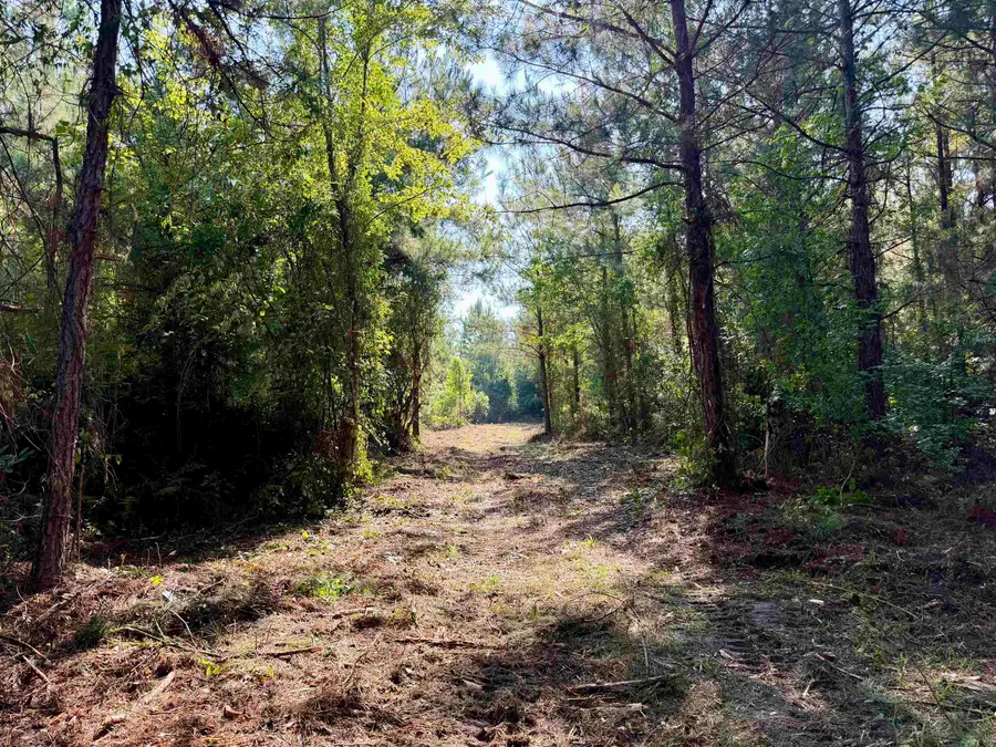 50.5 Acres Epps Rd., New Zion, SC 29111 - #3