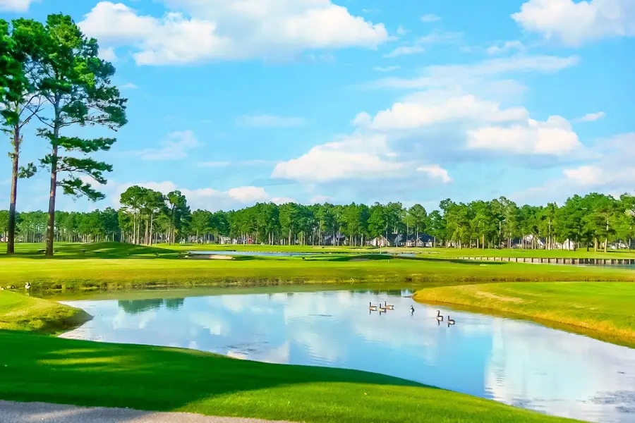 6010 Windsor Green Way #202, Myrtle Beach, SC 29579 - #2