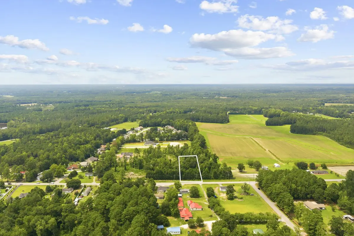 TBD Highway 905, Conway, SC 29526 - #1