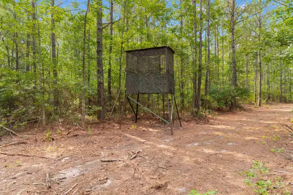 155.81 Acres - Roper Woods Rd., Lake City, SC 29560