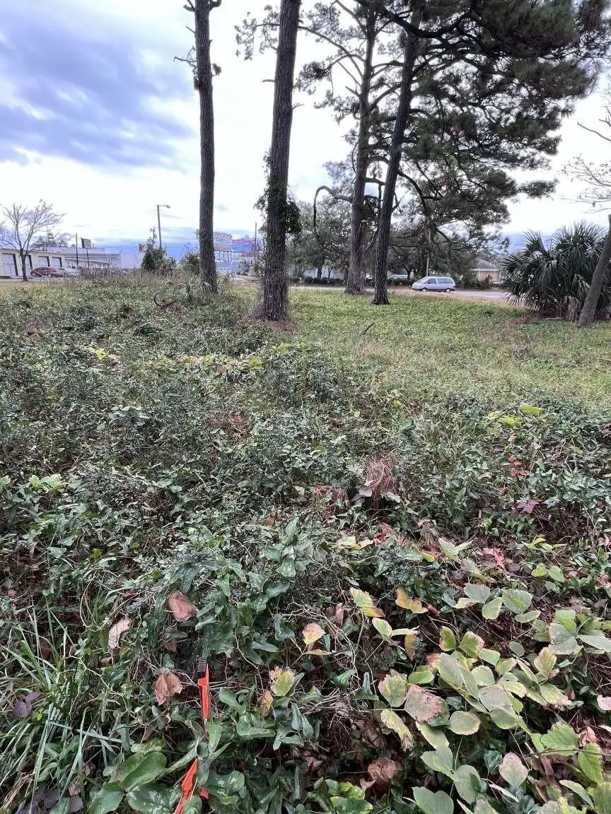 Lot 4 Alder St., Myrtle Beach, SC 29577 - #2